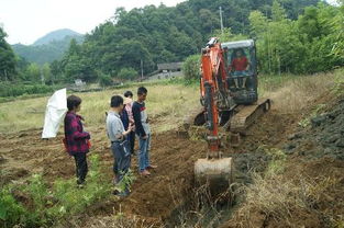 順昌縣農(nóng)業(yè)局水產(chǎn)技術(shù)推廣站深入仁壽鎮(zhèn)余塘村指導(dǎo)田間工程改造，助推稻田養(yǎng)魚項(xiàng)目發(fā)展