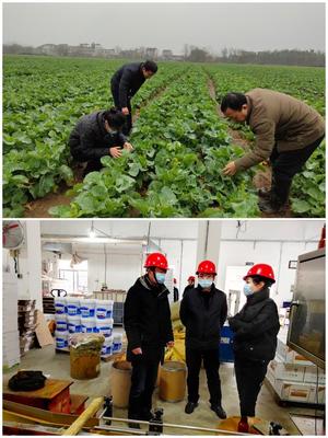 科技助農穩生產，服務下鄉促春耕——市農技推廣中心積極開展春耕備耕指導工作